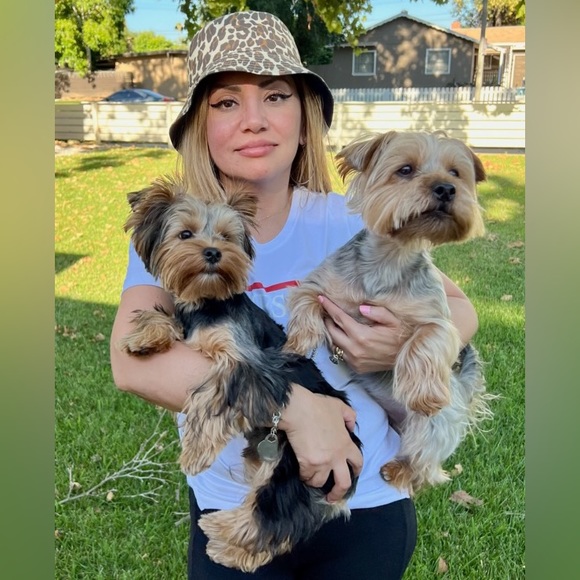 Meet your Posher, Ev, Rocky & Apollo 💖💙 Every purchase feeds a homeless dog🐾🐾 - Picture 6 of 13